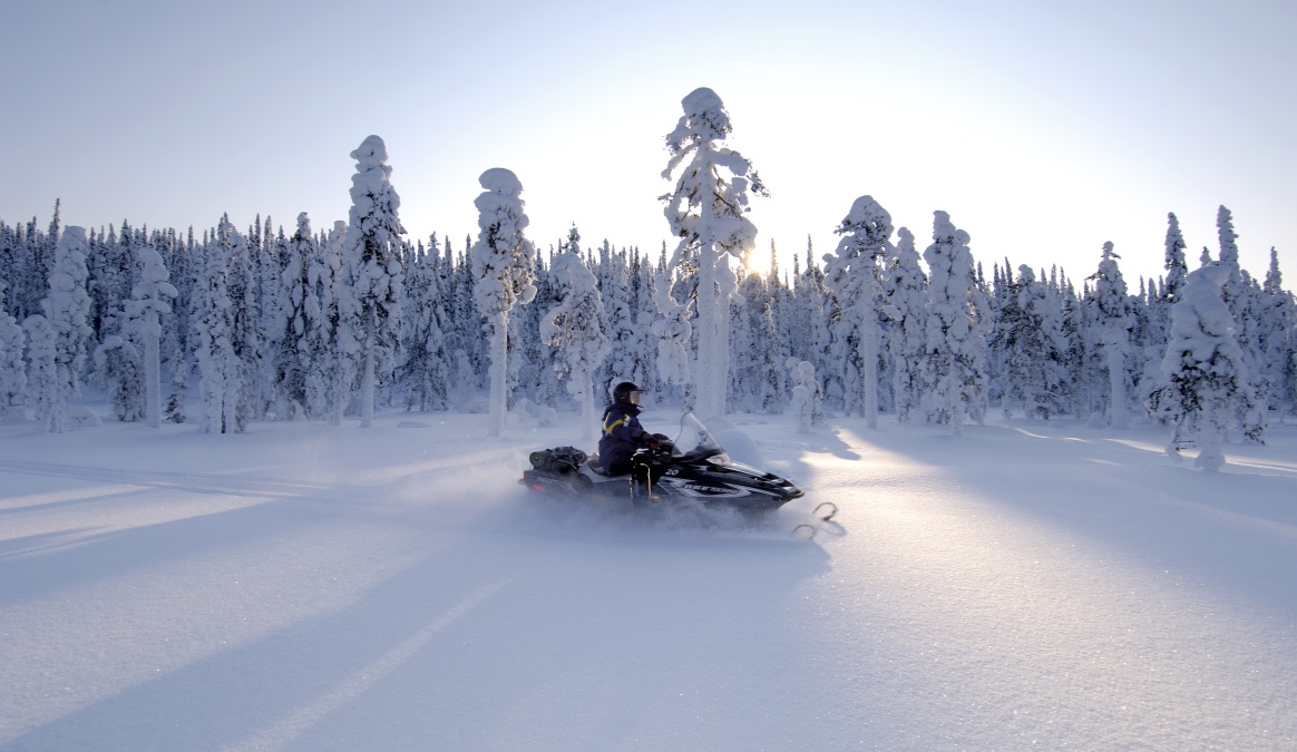 Lapland Winter Wonderland